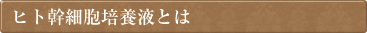 ヒト幹細胞培養液とは