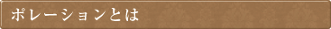 ポレーションとは