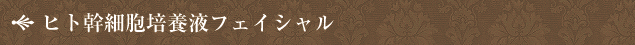 ヒト幹細胞培養液フェイシャル