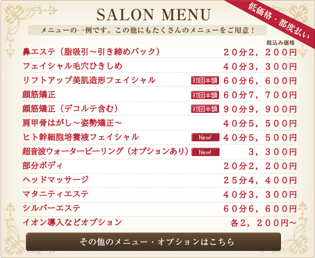 鼻エステ・フェイシャル毛穴ひきしめ・リフトアップ美肌造形フェイシャル・メディカルリンパボディ・部分ボディ・ヘッドマッサージマタニティエステ・シルバーエステ・ボディジュエリー・イオン導入などオプション。低価格で都度払い制!